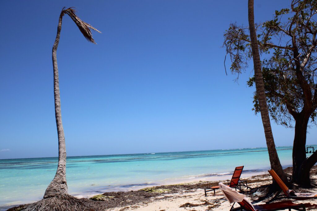 JUANILLO BEACH, Cultura Sudamericana pt.5