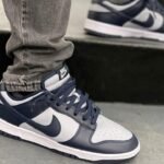 Nke Dunk Low Retro