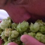 profumi uomo primavera estate 2023. Jenny Johansson da Pixabay