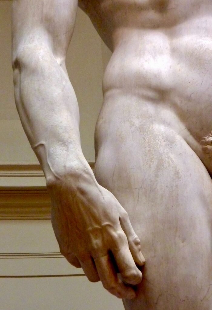 IL DAVID DI MICHELANGELO è PORNO?PEXELS FREE ROYALTY IMAGES