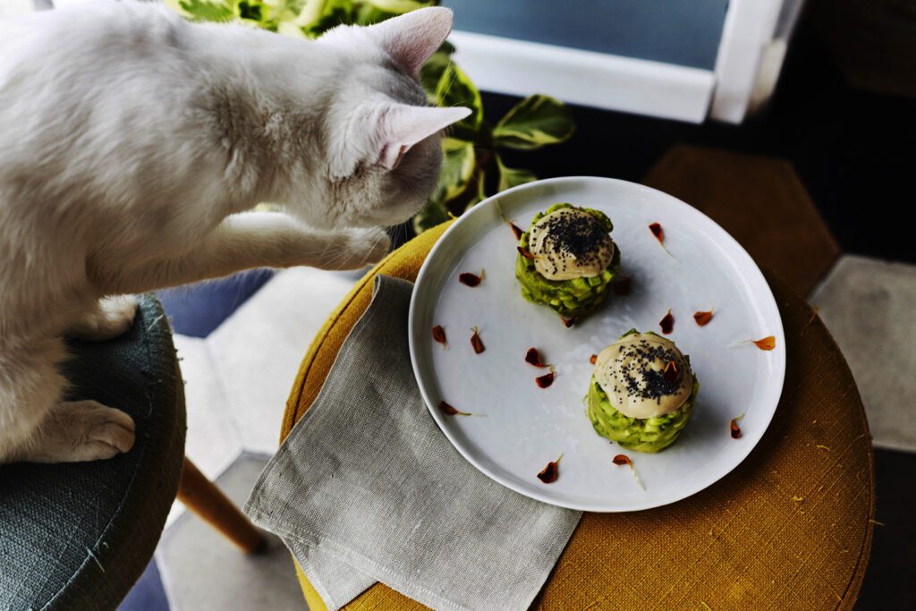 10 locali vegani roma. Photocredit romeocatbistrot.com