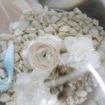 Il migliore amico di una donna è il suo vibratore. Photocredi cottonbro studio da pexels