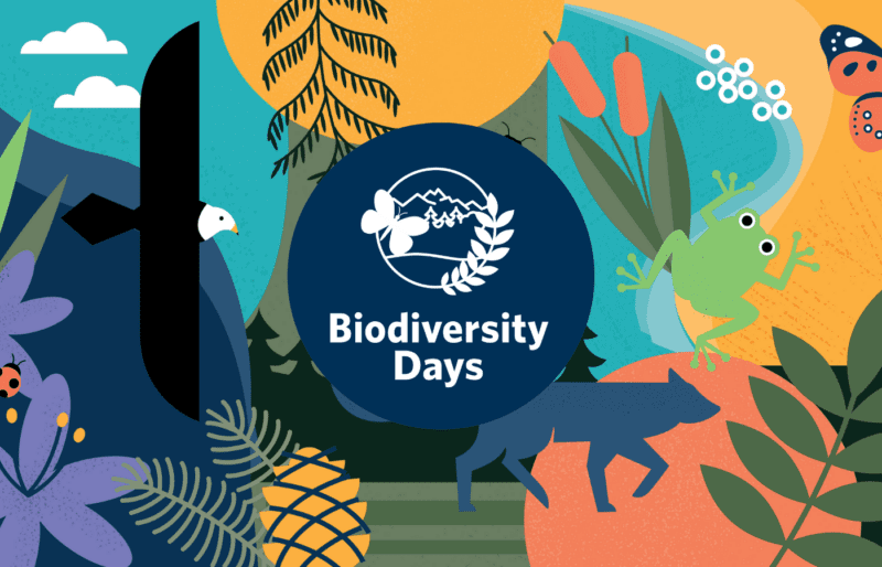 Giornata Mondiale della Biodiversità 2023