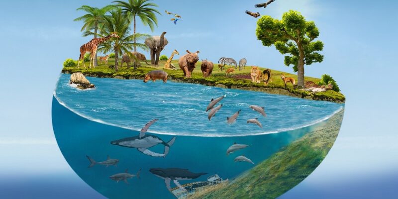 Giornata Mondiale della Biodiversità 2023