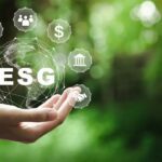 Il ruolo dell'ESG Consultant, la guida di MoltoUomo.it su questa nuova figura professionale