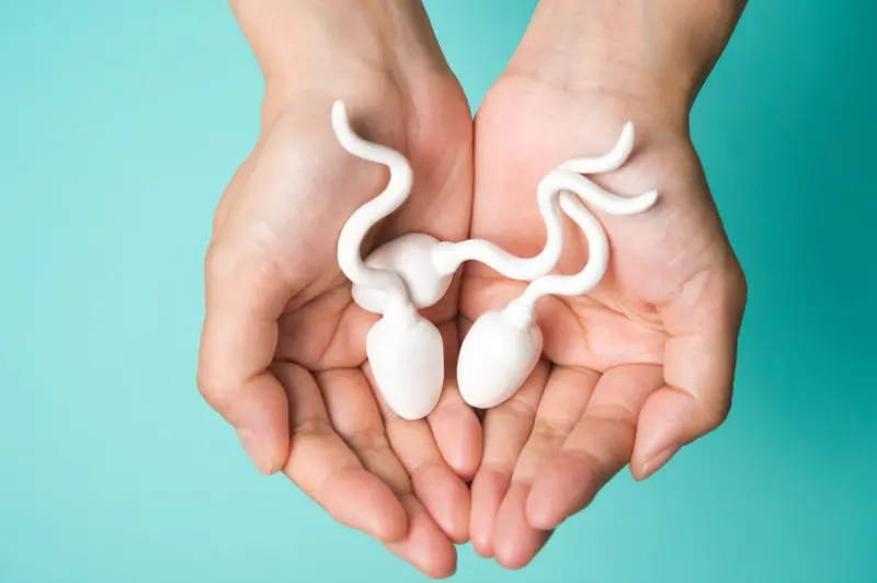 Sull'Orlo di una Crisi della Fertilità Maschile
