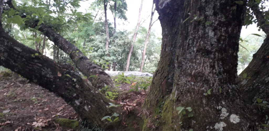 Castel di Mura, uno scavo archeologico da visitare