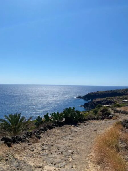 Pantelleria, il clima che non ti aspetti Pantelleria, il clima che non ti aspetti