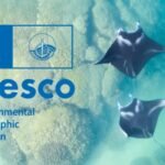 L'Iniziativa Ocean Literacy: Educare per un Futuro Sostenibile