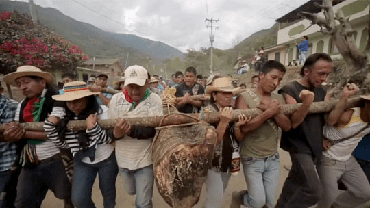 Visioni dal Mondo 2023: al via 9° Festival Internazionale del Documentario 