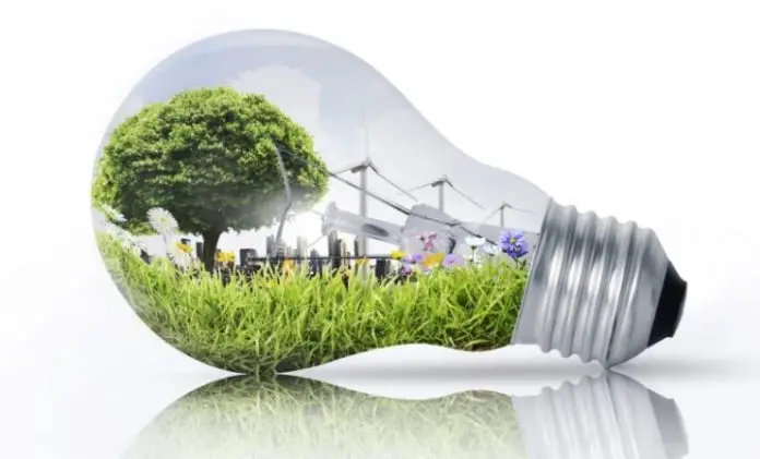 Corporate and Professional Sustainability in Light of the New Directive on Sustainability Reporting