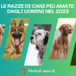 Le Razze di Cani più Amate dagli Uomini nel 2023