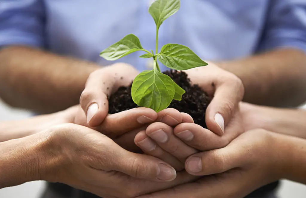 Lusso Consapevole e Sostenibile: il Nuovo Paradigma della Raffinatezza Maschile