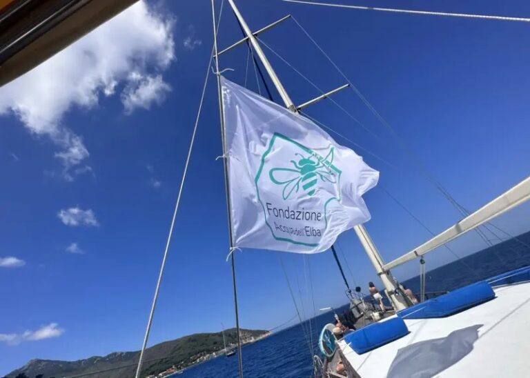 La Green Week di Acqua dell’Elba: Impegno per l’Isola d’Elba e l’Ambiente La Green Week di Acqua dell'Elba: Impegno per l'Isola d'Elba e l'Ambiente