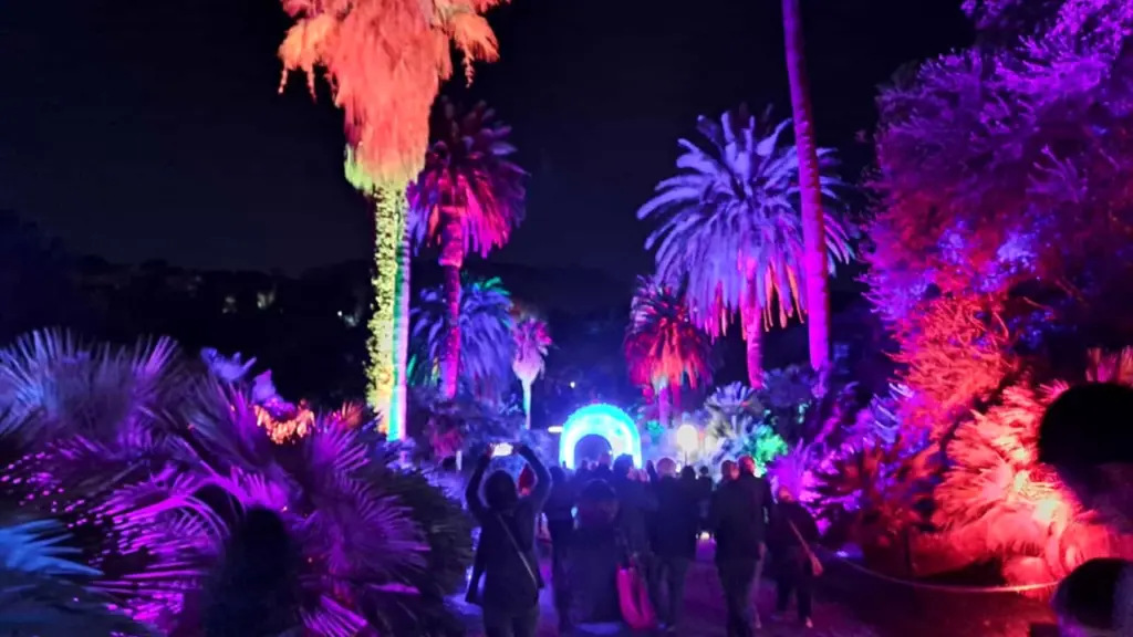 Incanto Natalizio: Le Magiche Trame di Luce all’Orto Botanico di Roma.