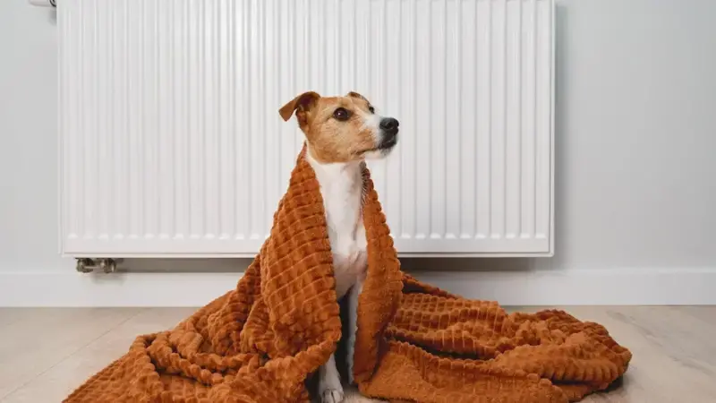 Riscaldamento domestico: Aumenti Fino a 1.200€ nella tua Bolletta del Gas! Riscaldamento domestico: Aumenti Fino a 1.200€ nella tua Bolletta del Gas!