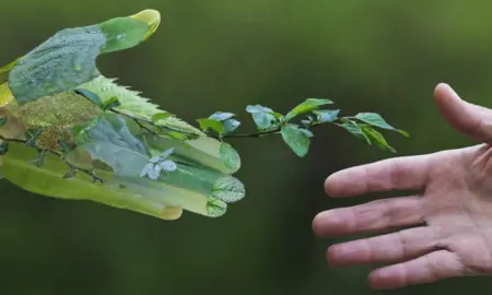 Sostenibilità: come essere un uomo eco-friendly e responsabile.