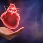 Il Cuore Conta: Guida al Benessere Cardiovascolare per una Vita Duratura