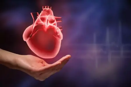 Il Cuore Conta: Guida al Benessere Cardiovascolare per una Vita Duratura. Il Cuore Conta: Guida al Benessere Cardiovascolare per una Vita Duratura