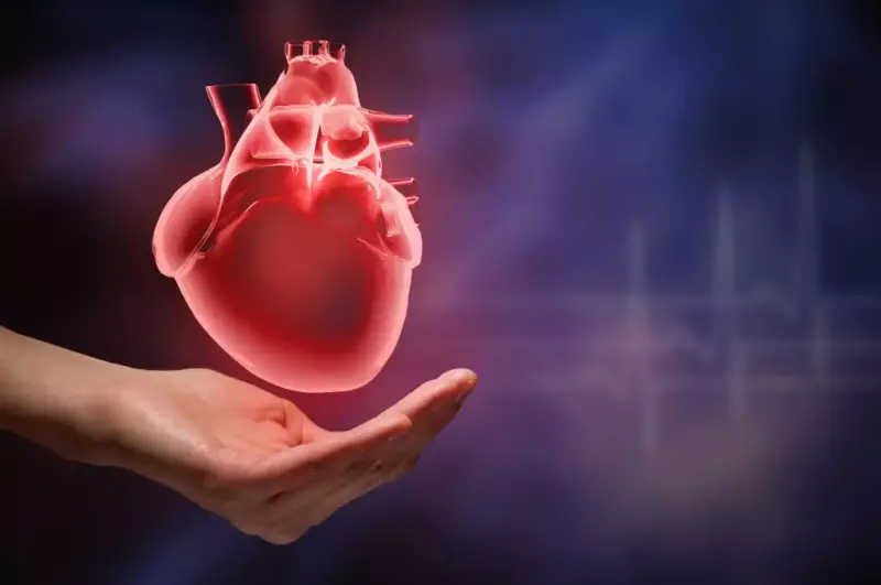 Il Cuore Conta: Guida al Benessere Cardiovascolare per una Vita Duratura. Il Cuore Conta: Guida al Benessere Cardiovascolare per una Vita Duratura