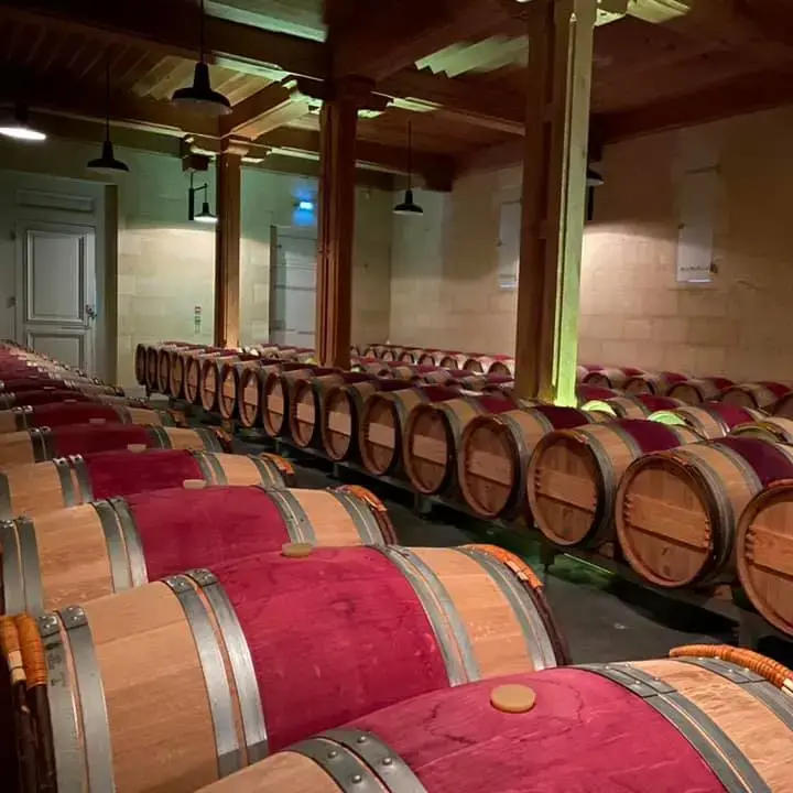 Il Petrus del 1982, la meraviglia in un calice di pregiatissimo Bordeaux