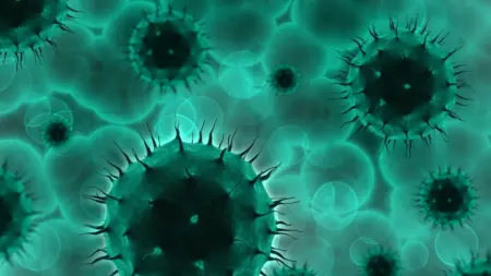 La Silenziosa Minaccia che viene dall'Oriente: la Malattia Carnivora in Giappone