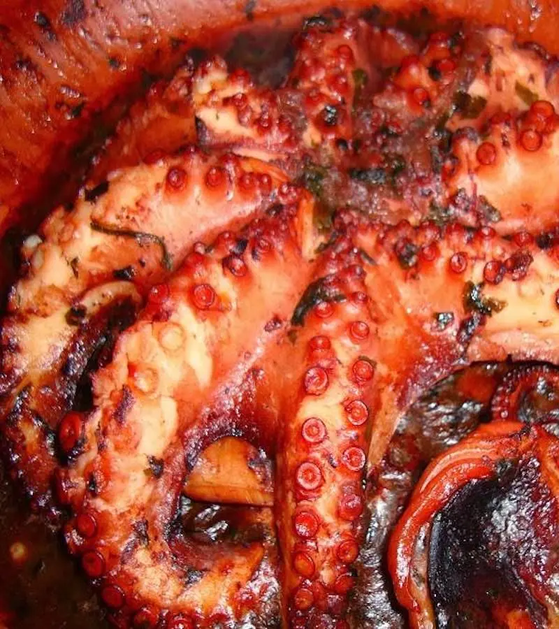 Polpi in purgatorio, una tradizione medievale di Termoli