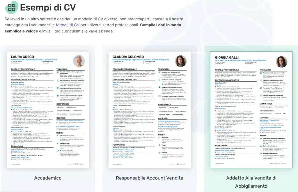 Curriculum online con Enhancv