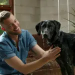 Come Accogliere il Tuo Primo Animale Domestico nella Tua Casa