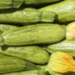 Le Zucchine: Gioielli Verdi della Cucina Regionale Italiana.
