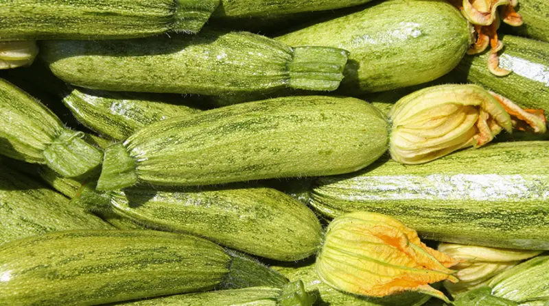 Le Zucchine: Gioielli Verdi della Cucina Regionale Italiana.