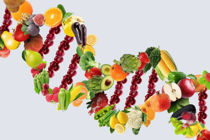 Nutrizione Personalizzata: Il Futuro della Dieta con un approccio su misura