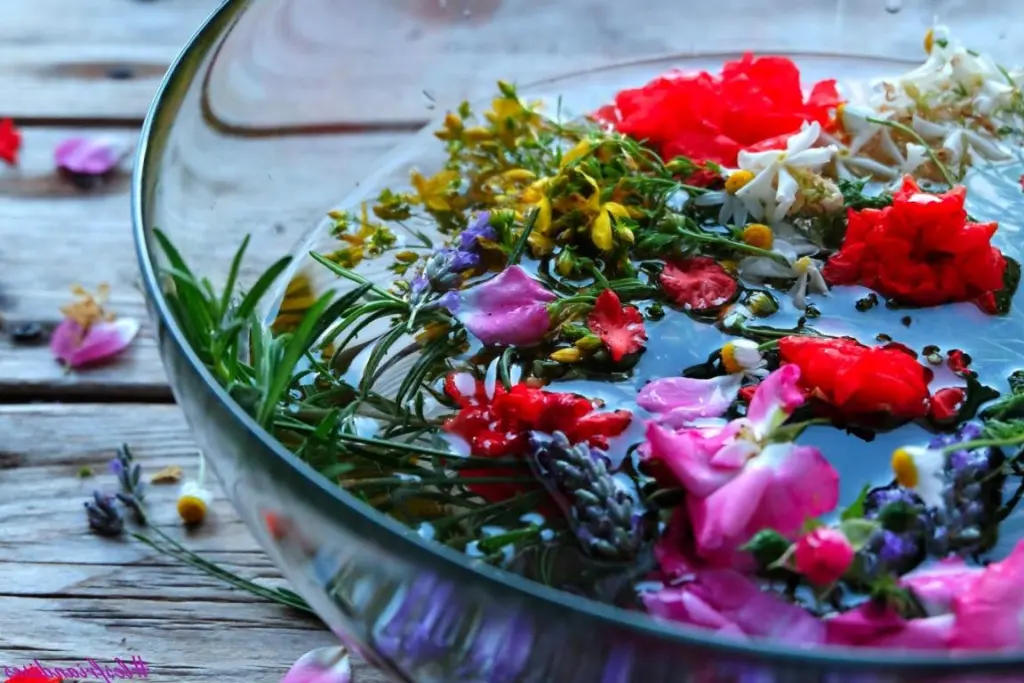 Acqua di San Giovanni: Il Segreto della Natura per un Benessere Senza Tempo