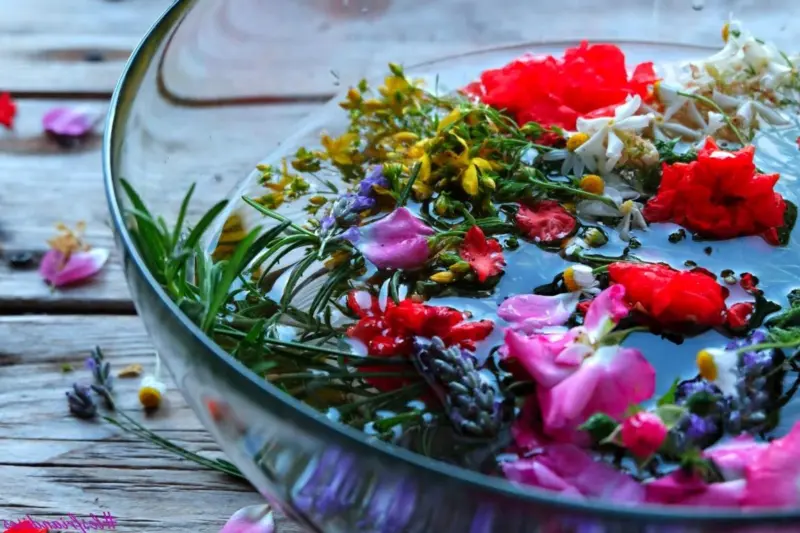 Acqua di San Giovanni: Il Segreto della Natura per un Benessere Senza Tempo