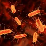 L'Escherichia Coli e l'inquinamento della Senna in occasione delle Olimpiadi di Parigi 2024.