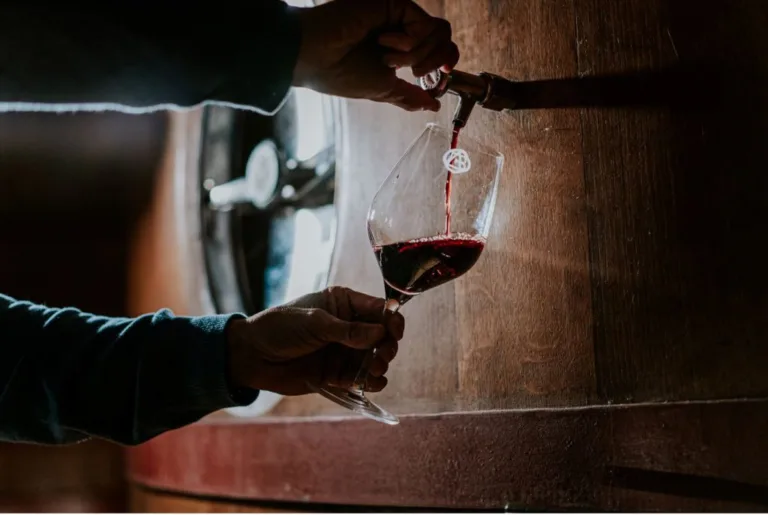 la vera essenza di un vino di qualità risiede ben oltre le informazioni riportate sull'etichetta. Esploriamo insieme i molteplici fattori che determinano la qualità di un vino, dalle pratiche vitivinicole alle caratteristiche sensoriali, passando per le tendenze emergenti nel settore