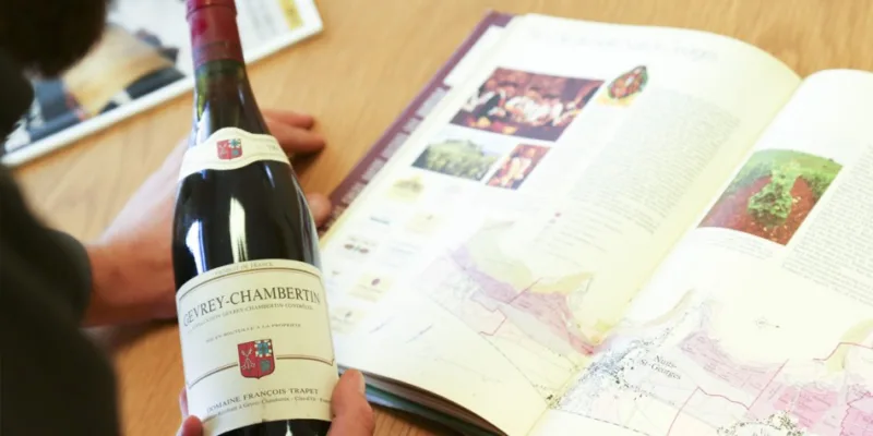 La costruzione di una collezione di vini pregiati