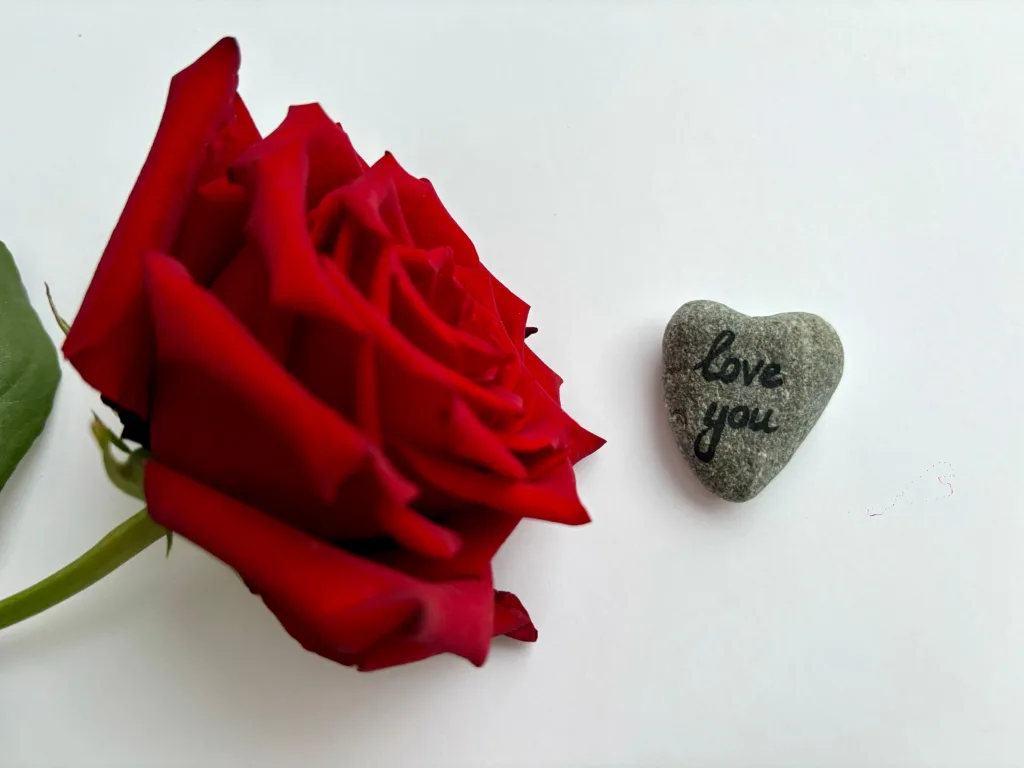 I single a San Valentino possono infatti vivere davvero male questa festività, facendo letteralmente il conto alla rovescia perché termini il prima possibile.