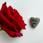 I single a San Valentino possono infatti vivere davvero male questa festività, facendo letteralmente il conto alla rovescia perché termini il prima possibile.