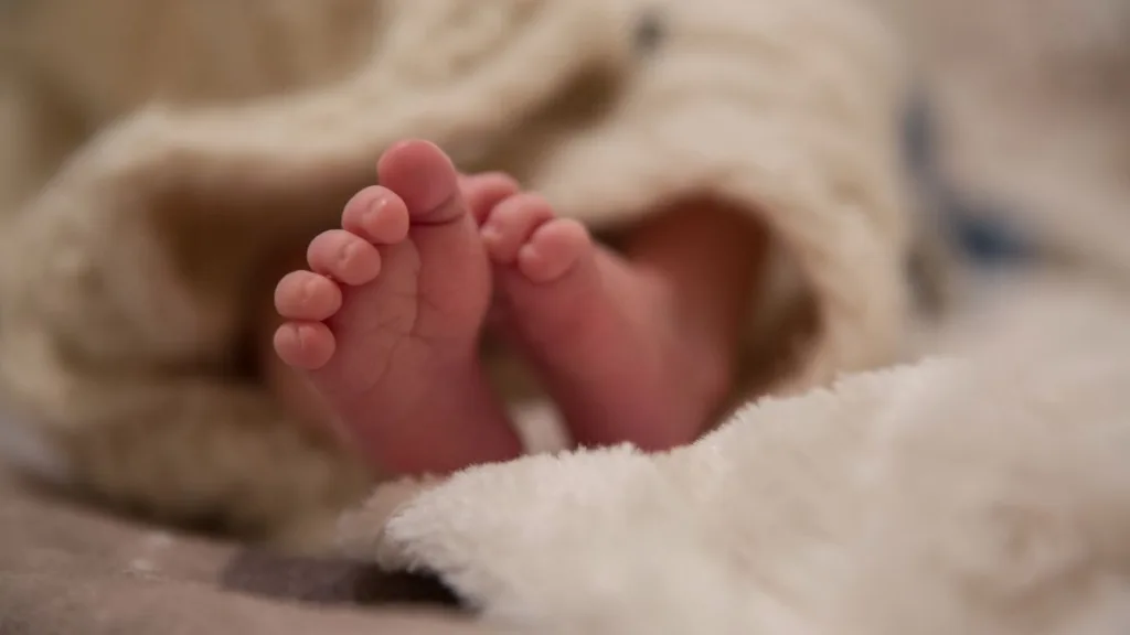 Bonus Nuovi Nati 2025: Ecco Come Ottenere 1.000 euroe e Quali Sono i Requisiti. Buon nuovi nati 2025