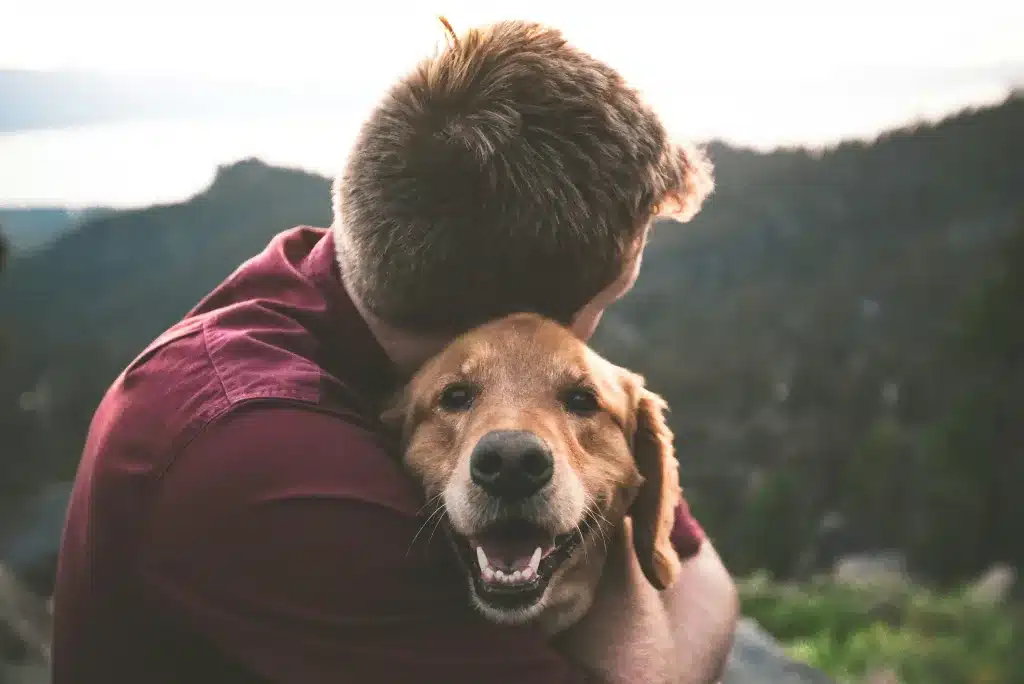 Oggi parliamo proprio di questo gesto semplice ma potente: l’abbraccio tra un uomo e il suo cane
