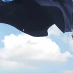 Tombolini SS26: L'Eleganza delle Marche Veste l'Estate del Futuro