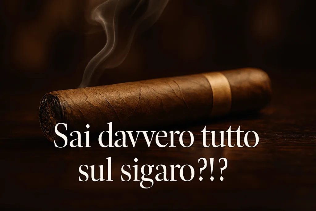 Fumare un sigaro non è solo fumare: è conoscere una cultura, vivere un rituale e condividere un piacere