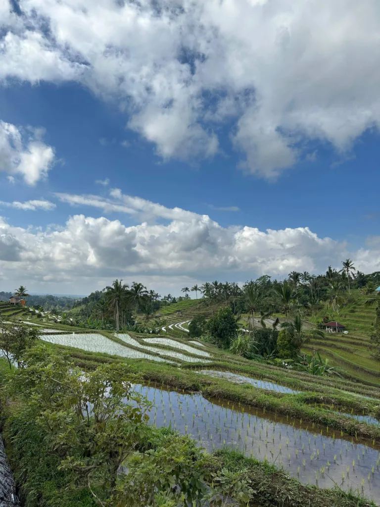 Reportage: Indonesia, il viaggio delle contraddizioni | dalla frenesia di Giacarta ai silenzi cristallini di Gili