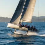 designer navali vela